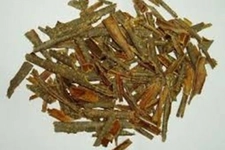 Barut Ağacı Kabuğu Kullanımı ve Faydaları Nelerdir? Barut Ağacı Kabuğu Kullanımı ve Faydaları Nelerdir?