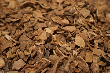 Ceviz Kabuğu Kullanımı ve Faydaları Nelerdir? Ceviz Kabuğu Kullanımı ve Faydaları Nelerdir?